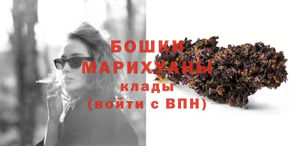 PSILOCYBIN Горно-Алтайск