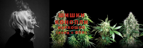 мет Богданович