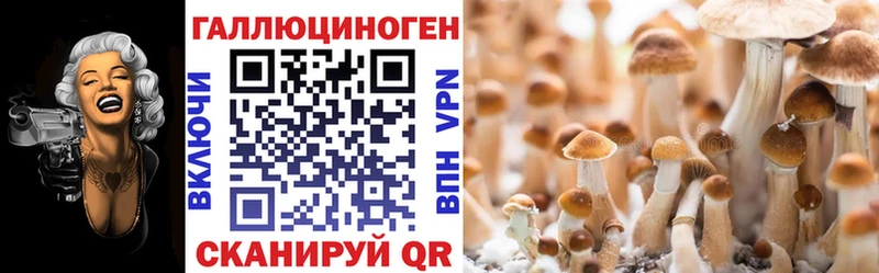 Псилоцибиновые грибы Cubensis  маркетплейс официальный сайт  Западная Двина  как найти  